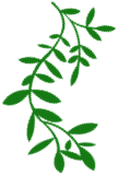画画中发生的趣事_儿童绘画生活中的趣事_绘画生活中的趣事