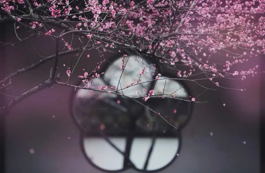 三弄生活小技巧_生活小技巧什么意思_教你几个生活小技巧