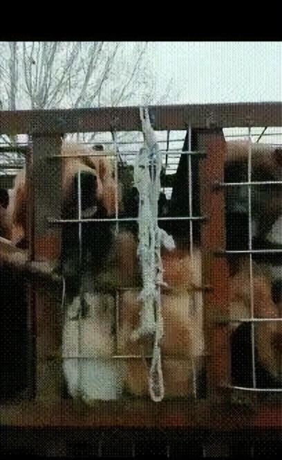 生活中的趣事是什么_生活中趣事有哪些_生活中的的趣事