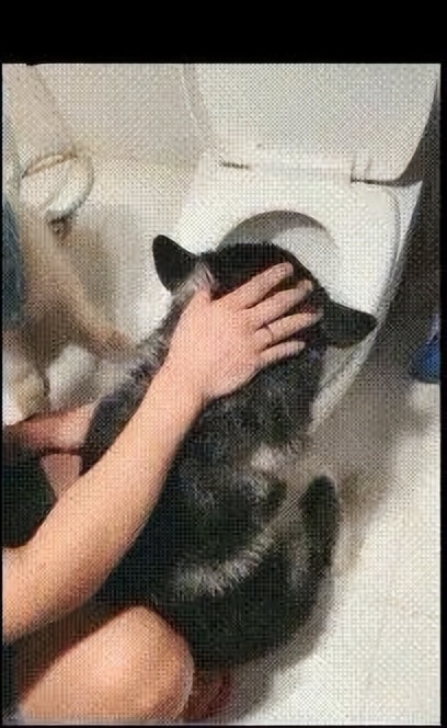 生活中趣事有哪些_生活中的趣事是什么_生活中的的趣事