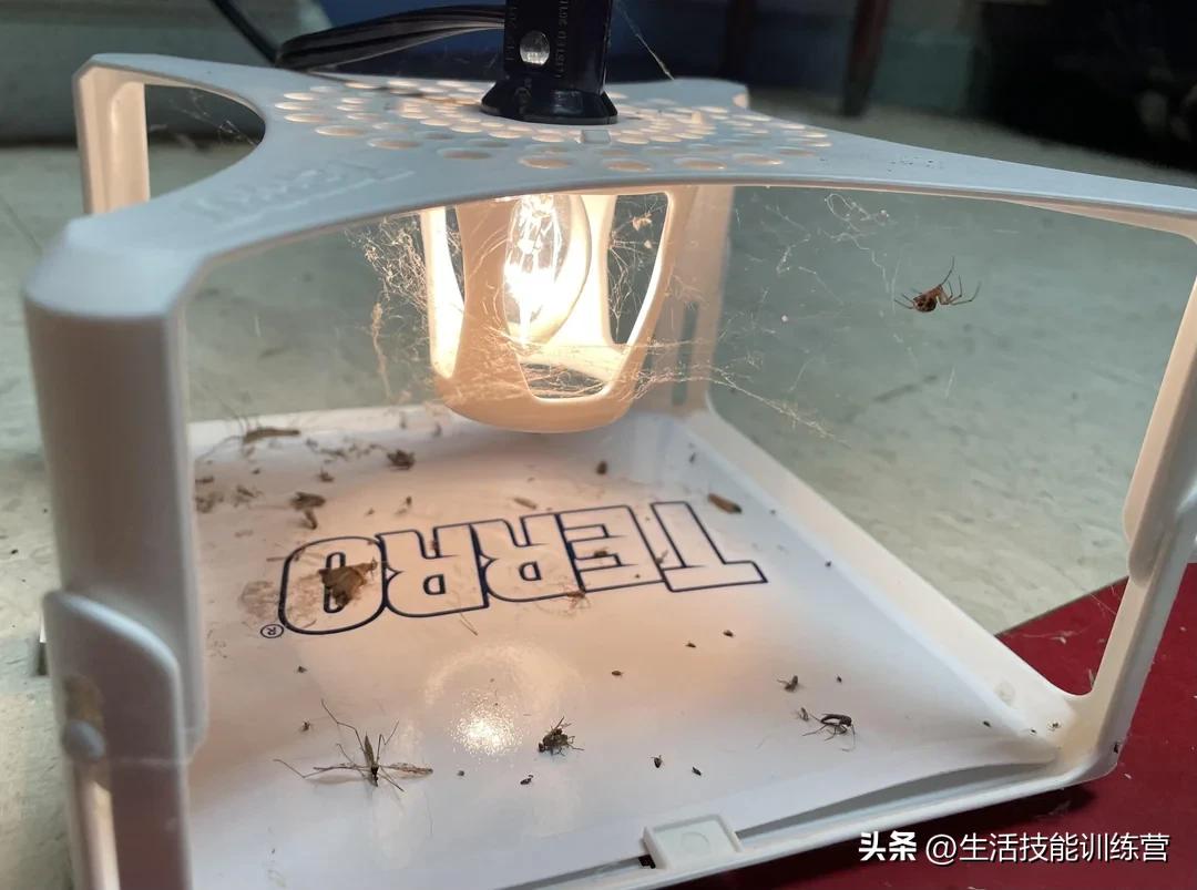 生活中趣事这篇作文_生活中的的趣事_生活中趣事有哪些