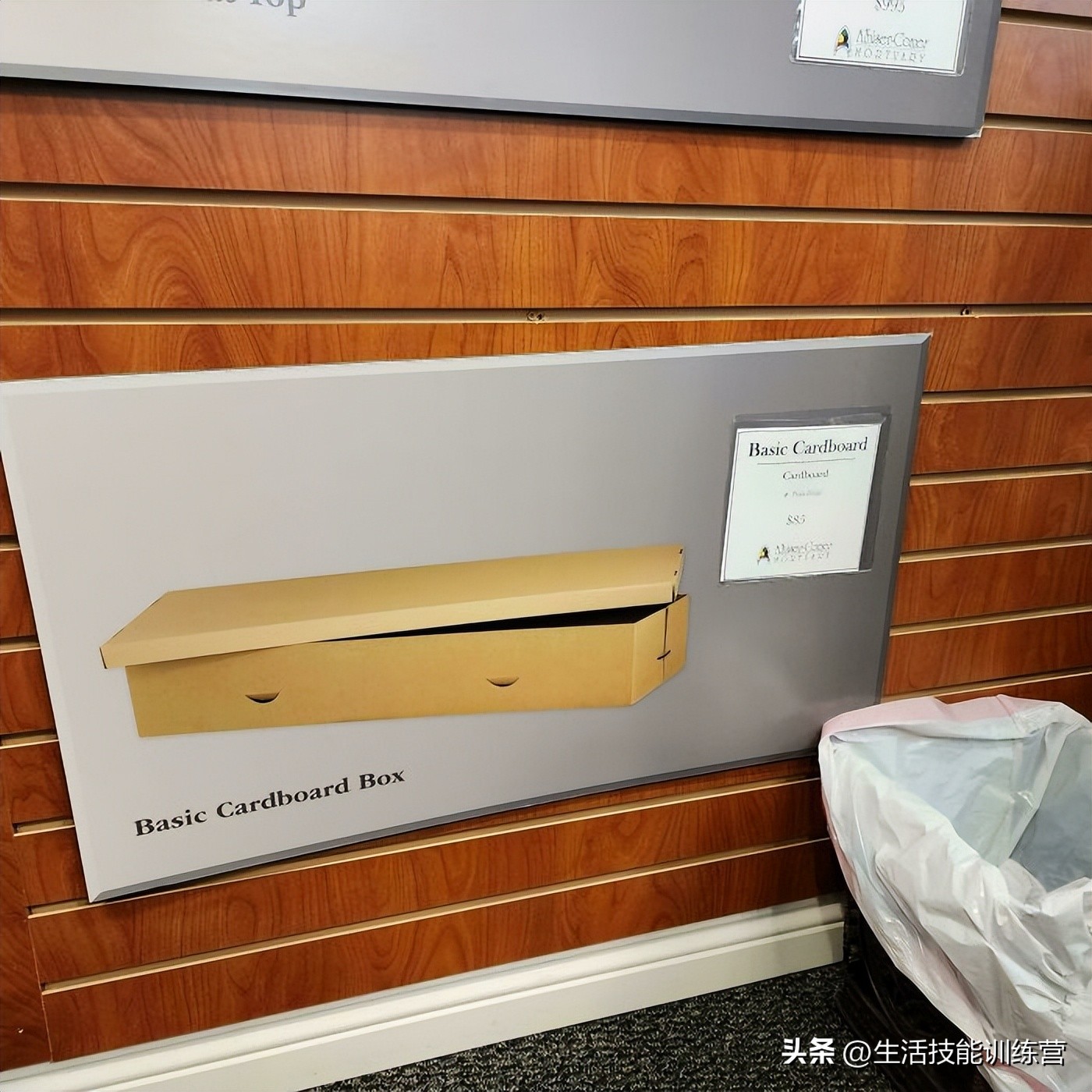 生活中趣事有哪些_生活中的的趣事_生活中趣事这篇作文