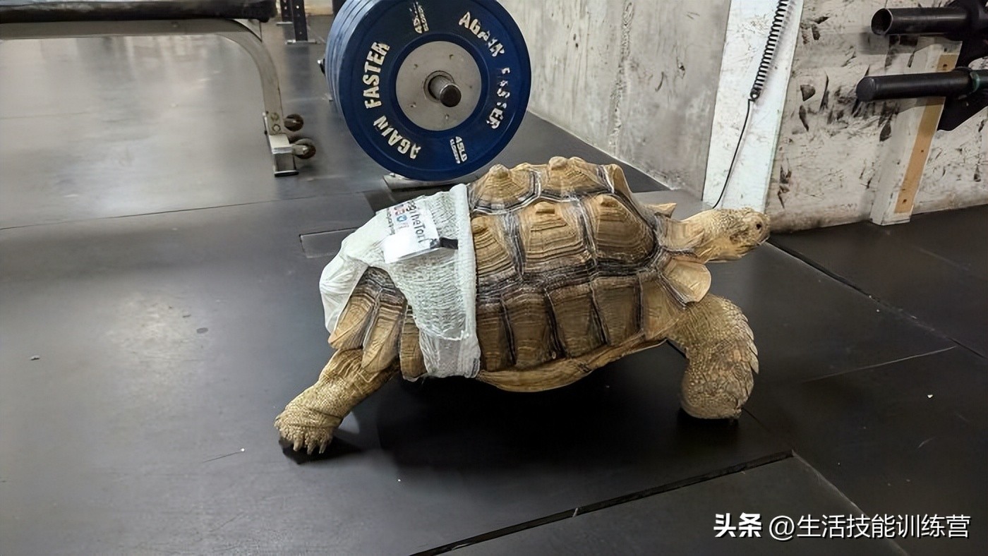 生活中趣事这篇作文_生活中趣事有哪些_生活中的的趣事