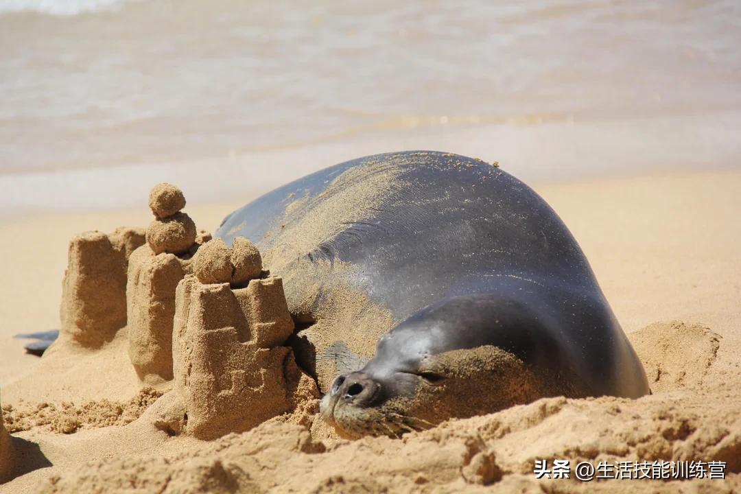 生活中趣事这篇作文_生活中趣事有哪些_生活中的的趣事