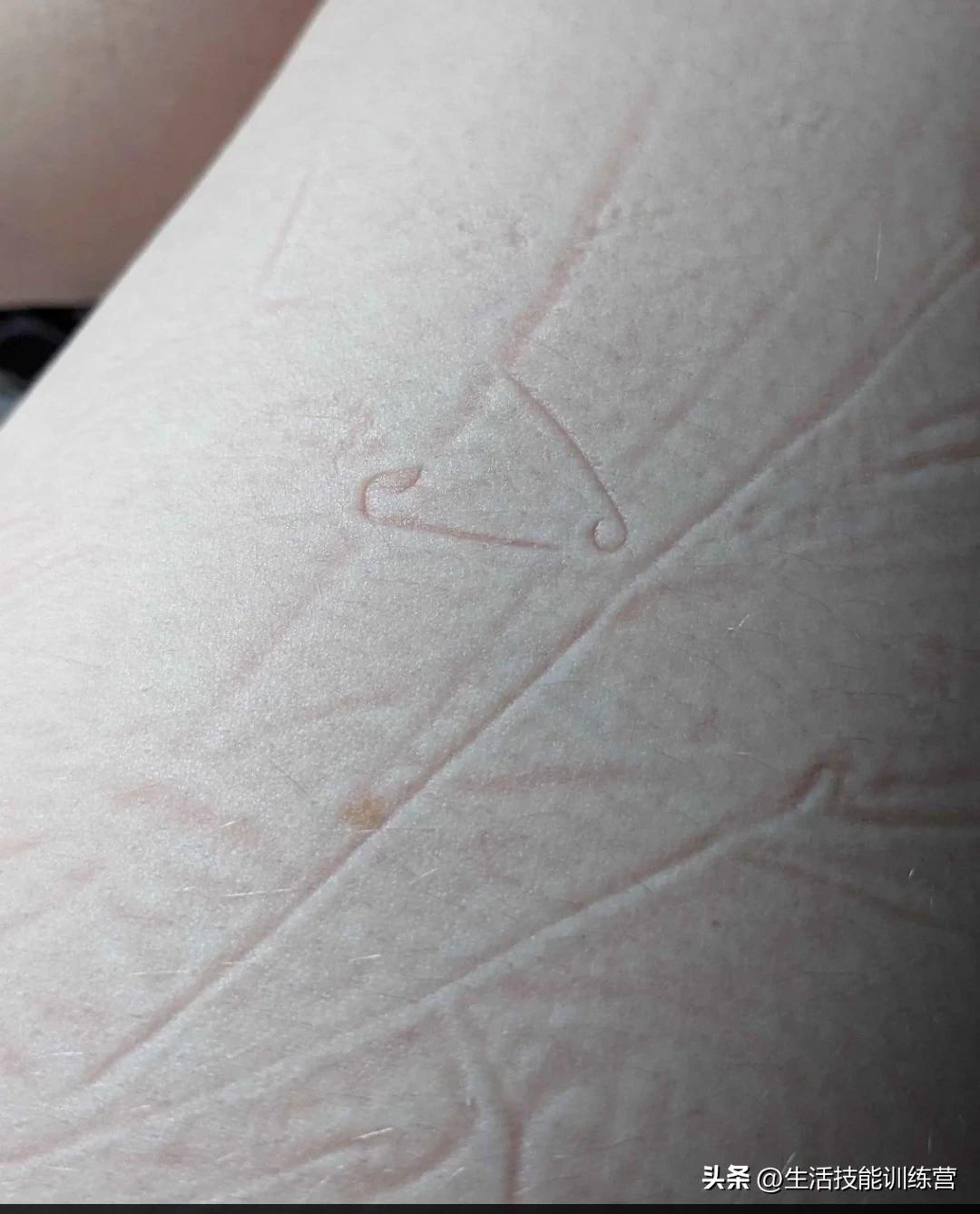 生活中的的趣事_生活中趣事有哪些_生活中趣事这篇作文