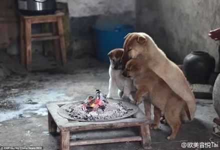 冬季变冷生活小百科_冬季生活发生了哪些变化_冬天变冷是什么效应