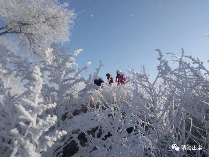 冬季生活发生了哪些变化_冬季变冷生活小百科_冬天变冷是什么效应