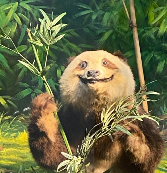 看老人带什么点心_老人点心食谱_送老人点心去哪买