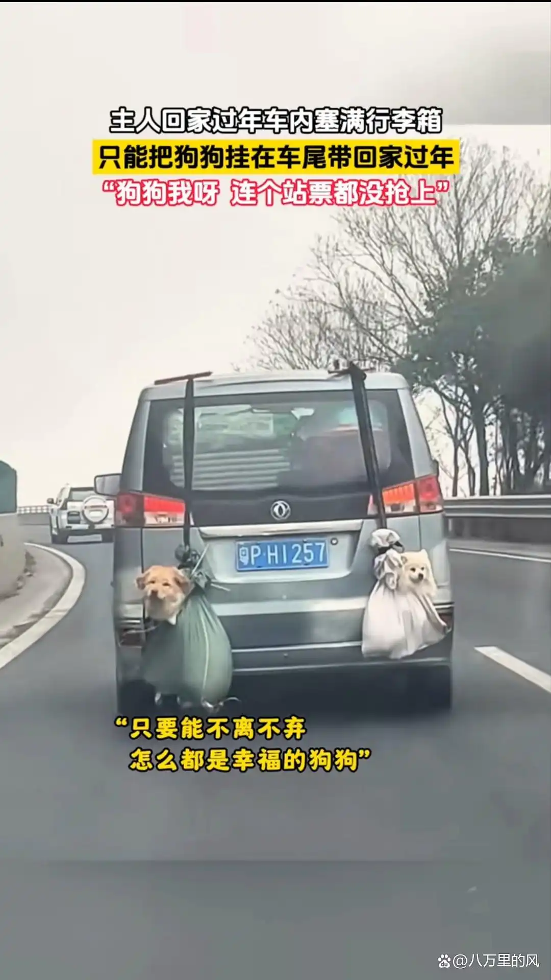 猫咪照顾主人_猫主人是什么意思_猫咪与主人的生活方式不同