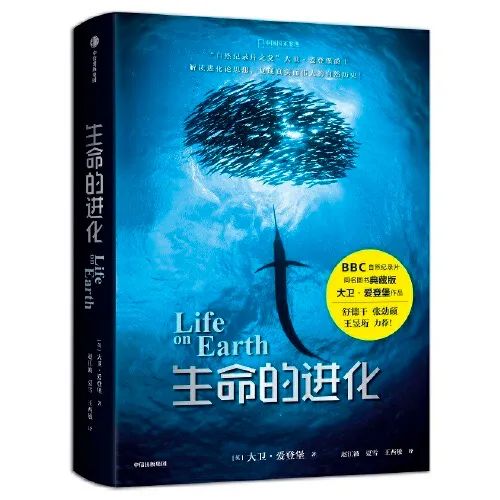 小伶玩具小伶生活图片_图解生活窍门3000例_生活小窍门书单图片