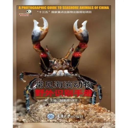 生活小窍门书单图片_小伶玩具小伶生活图片_图解生活窍门3000例