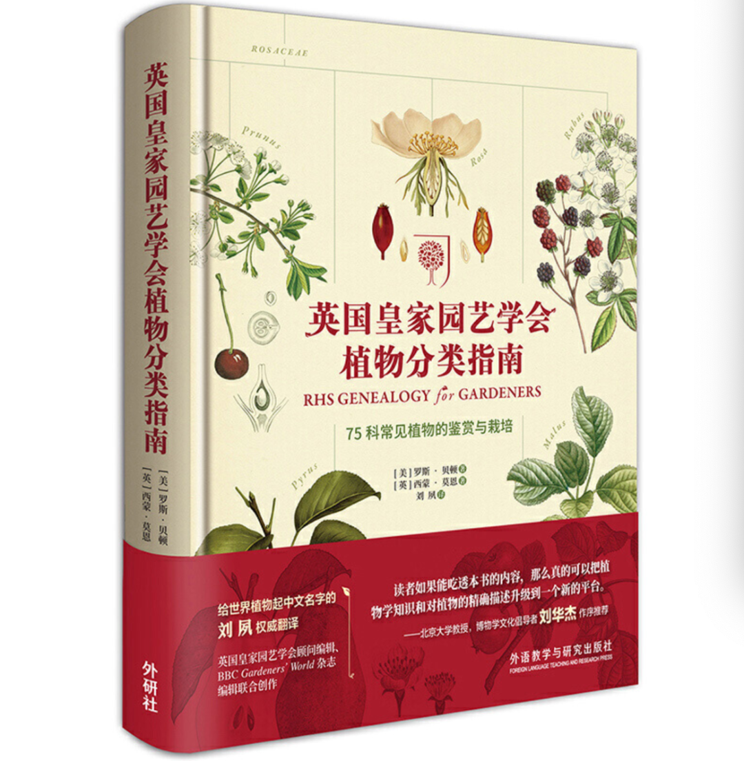 图解生活窍门3000例_小伶玩具小伶生活图片_生活小窍门书单图片