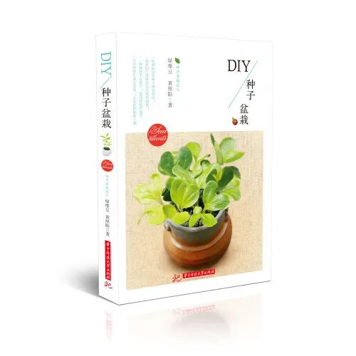 小伶玩具小伶生活图片_生活小窍门书单图片_图解生活窍门3000例