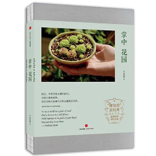 生活小窍门书单图片_图解生活窍门3000例_小伶玩具小伶生活图片