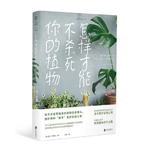 图解生活窍门3000例_小伶玩具小伶生活图片_生活小窍门书单图片