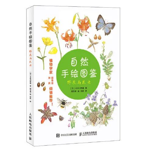 小伶玩具小伶生活图片_生活小窍门书单图片_图解生活窍门3000例