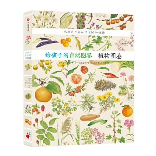 小伶玩具小伶生活图片_生活小窍门书单图片_图解生活窍门3000例