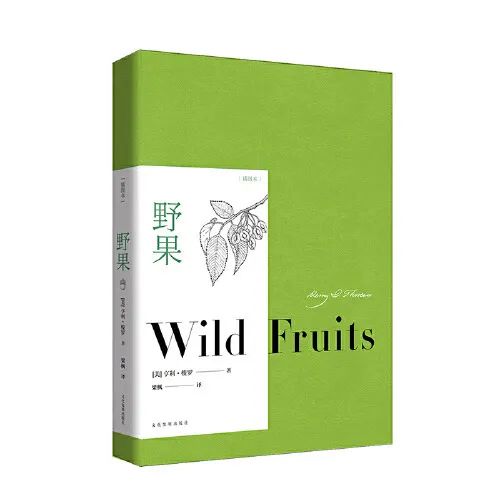 生活小窍门书单图片_图解生活窍门3000例_小伶玩具小伶生活图片