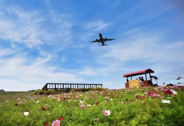 成都国际空港商务区规划图_成都国际空港商圈_成都空港国际广场美食