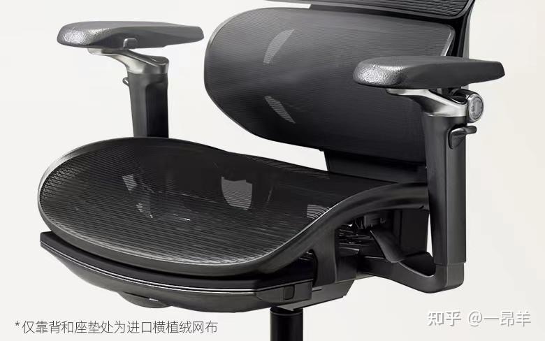 电竞选手x电竞女主播_电竞手毛病_手小用什么电竞鼠标好