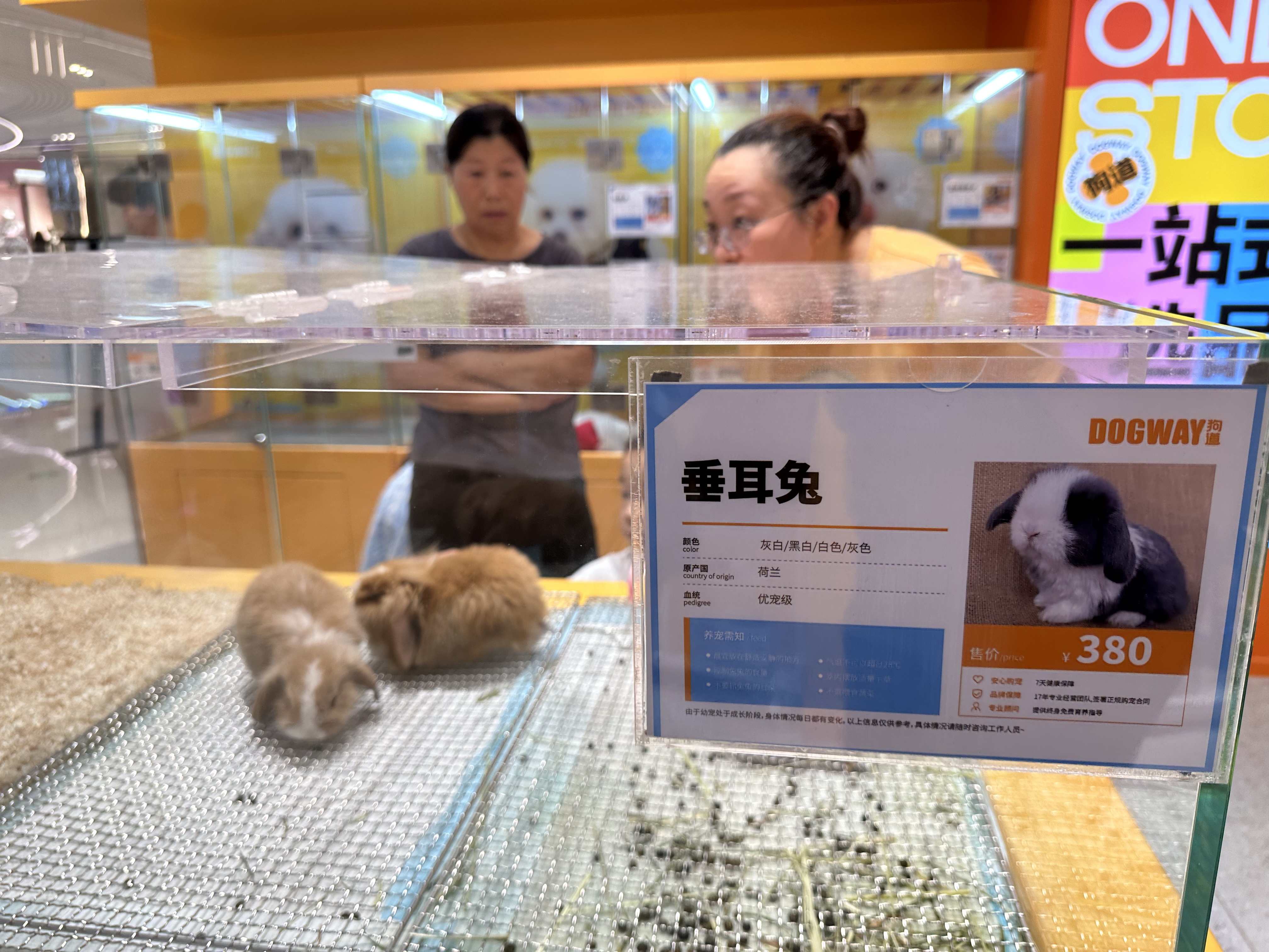 二次元主题茶餐厅_次元餐馆_次元茶话会免费阅读