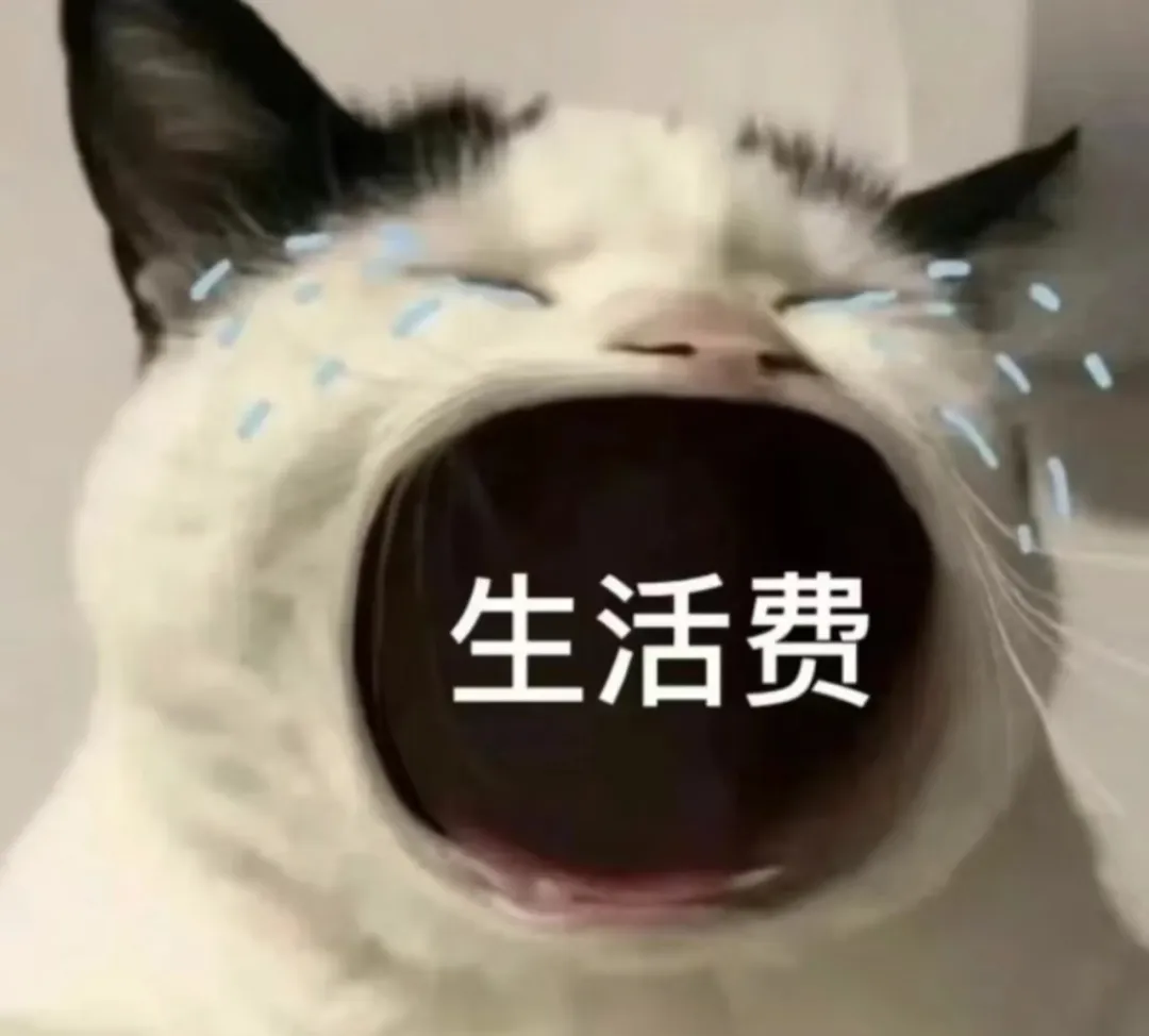 家庭日常消费调研报告总结_家庭消费支出调研报告_家庭日常消费情况调查报告