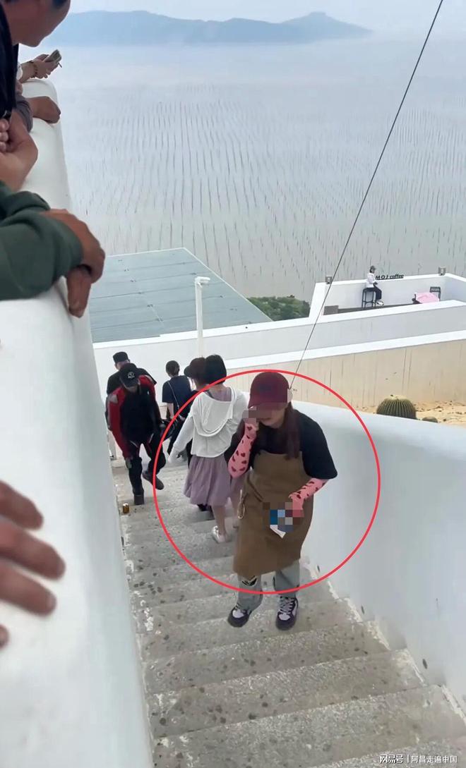 温州鹿城区的猫咖_温州猫咖有哪几家_温州新城猫咖啡馆