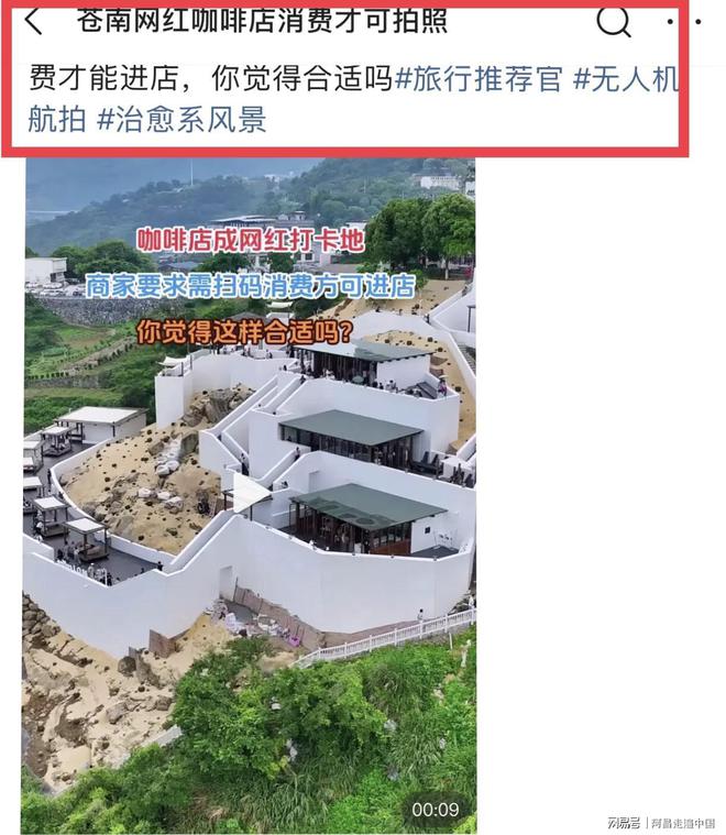 温州鹿城区的猫咖_温州猫咖有哪几家_温州新城猫咖啡馆