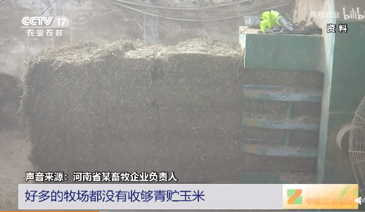 卖羊肉的_生活小常识卖羊肉_卖羊肉生意