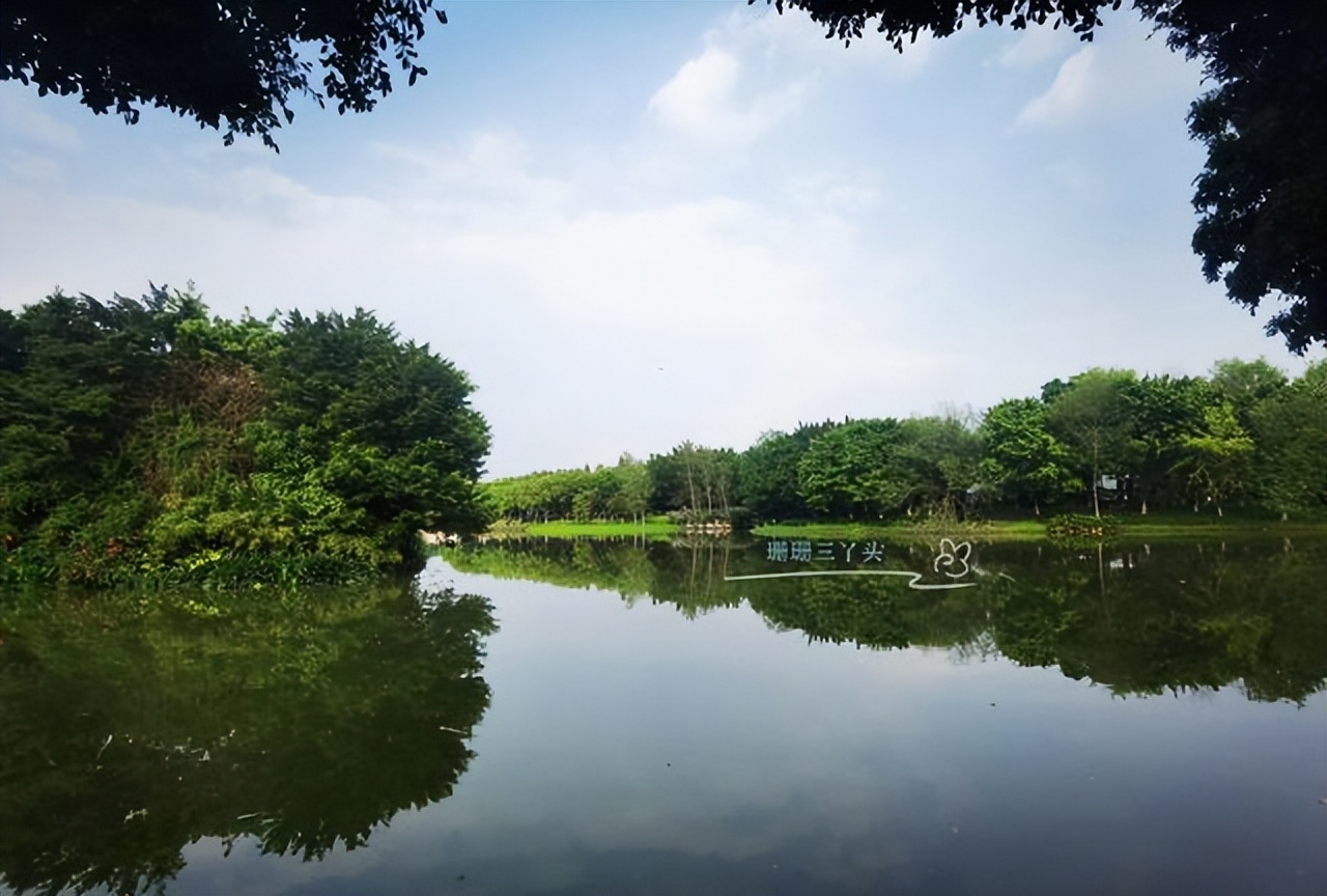 广州咖啡屋_广州市海珠区咖啡厅_海珠湖咖啡馆怎么样