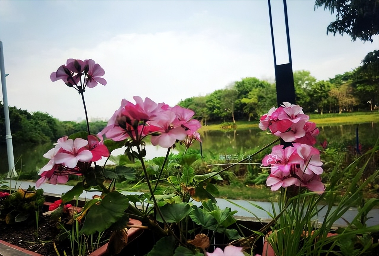广州咖啡屋_广州市海珠区咖啡厅_海珠湖咖啡馆怎么样