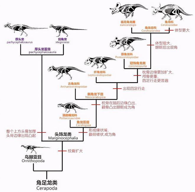 恐龙的操作_恐龙生活小技巧_恐龙操作步骤