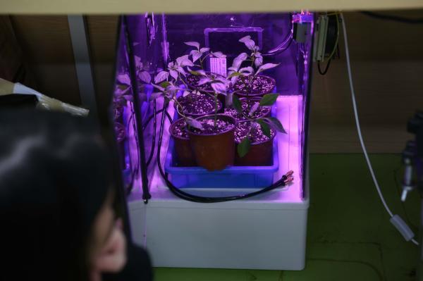 生活的物理常识_物理生活常识知识大全_物理的生活常识