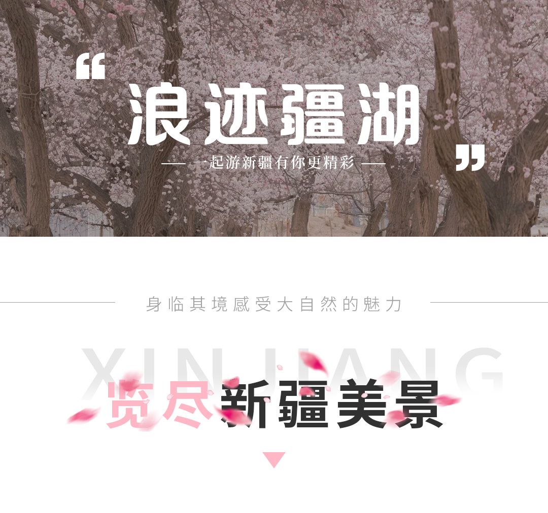 零食店新模式_小零食店的生活方式_零食小店如何布置