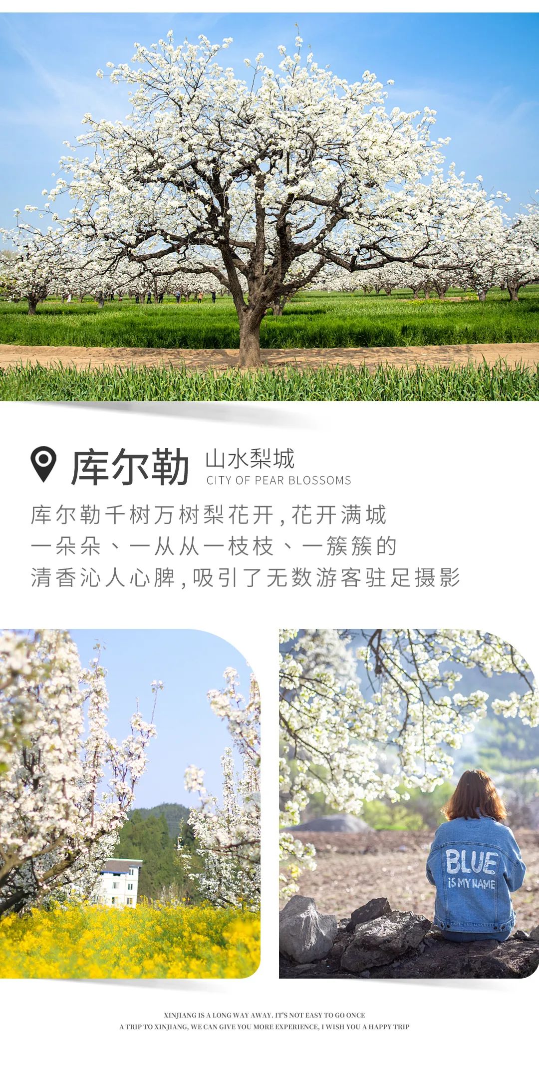 小零食店的生活方式_零食小店如何布置_零食店新模式