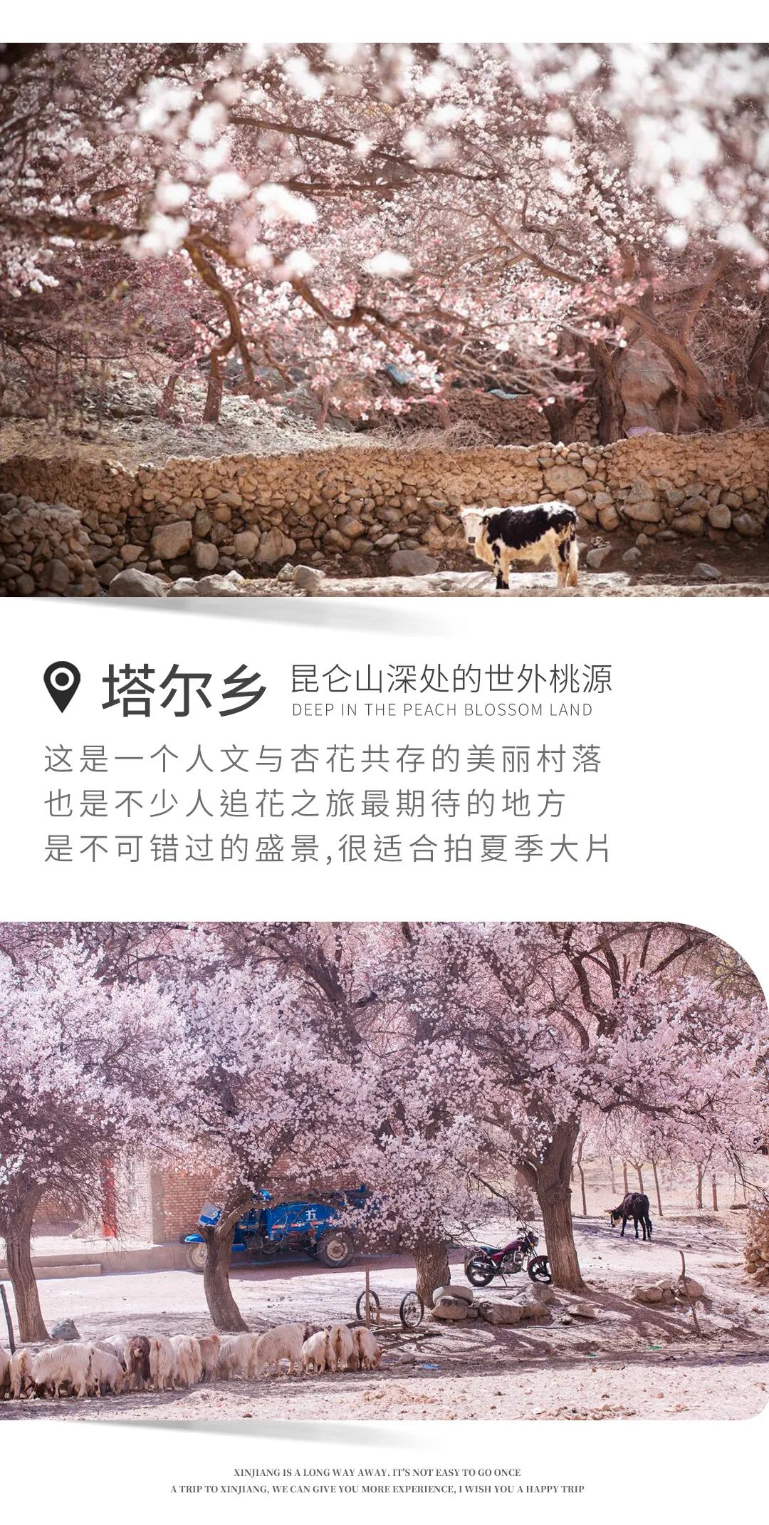 零食店新模式_小零食店的生活方式_零食小店如何布置