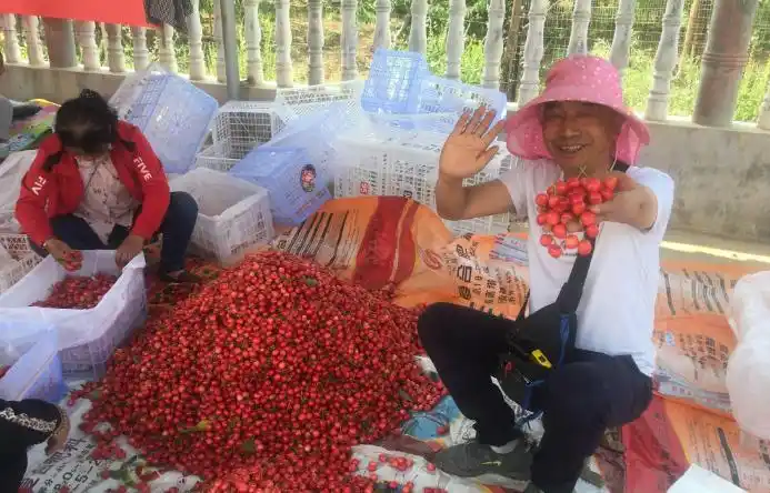 网络如何影响人们的生活_网络对生活产生的影响_网络对生产生活方式的影响