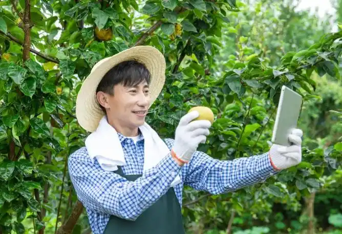 网络对生产生活方式的影响_网络如何影响人们的生活_网络对生活产生的影响