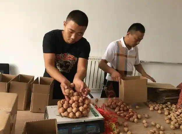 网络对生活产生的影响_网络对生产生活方式的影响_网络如何影响人们的生活