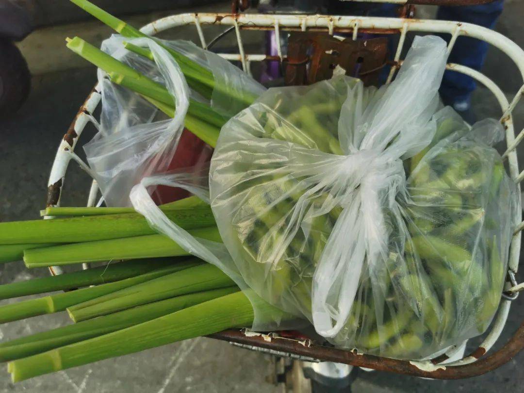 日常家菜菜谱_日常家常菜的做法_家庭日常6个菜
