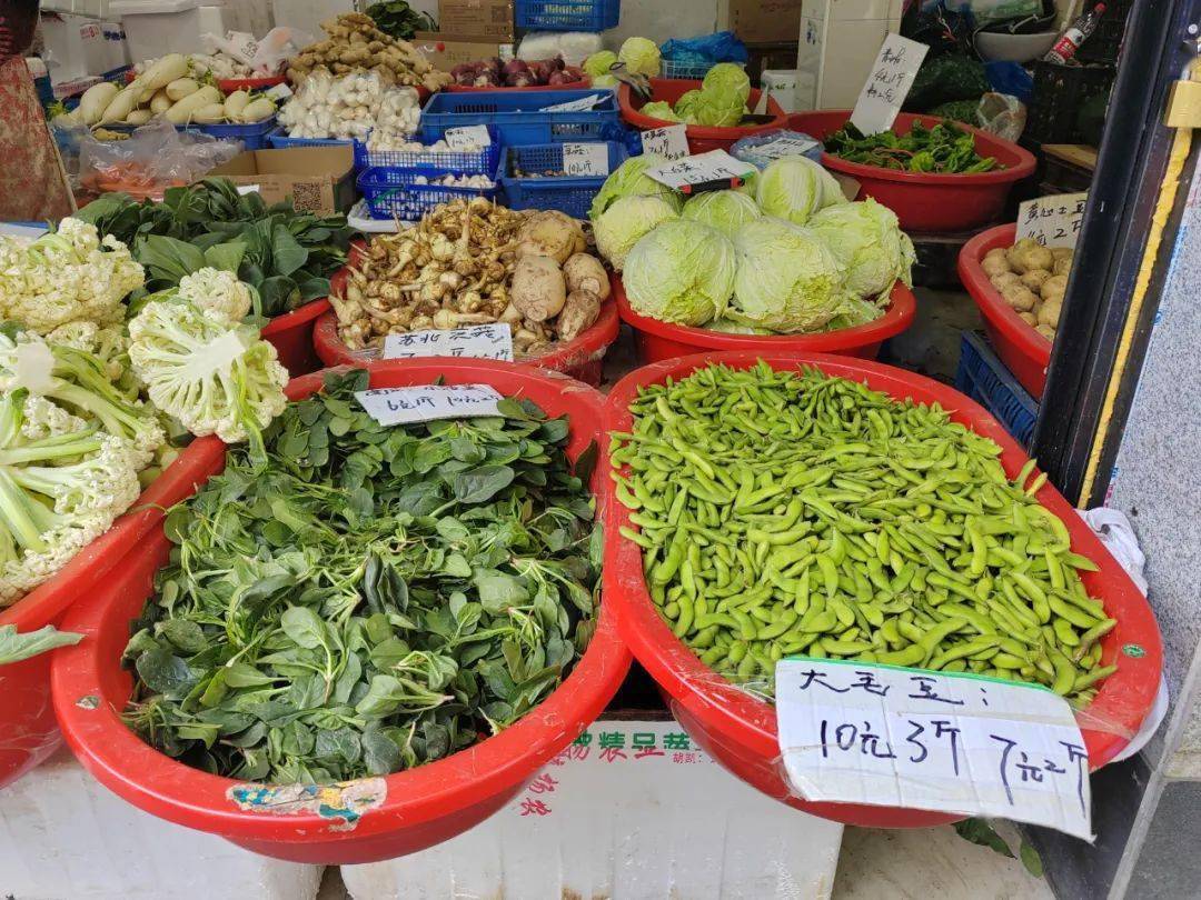 家庭日常6个菜_日常家常菜的做法_日常家菜菜谱