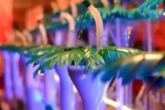 六合夜市美食_六合夜市美食_六合夜市美食