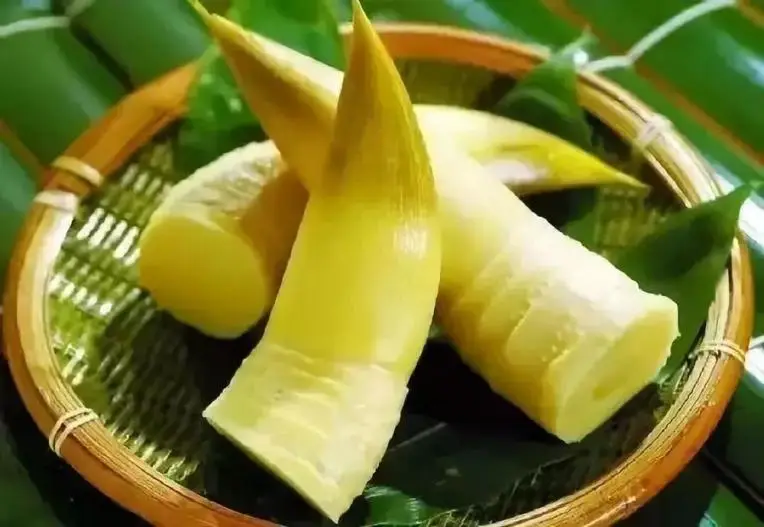 潮汕美食春笋_美食潮汕春笋的做法_潮汕竹笋怎么做好吃窍门