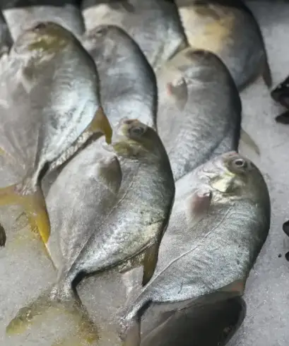 美食潮汕春笋的做法_潮汕美食春笋_潮汕笋的做法大全