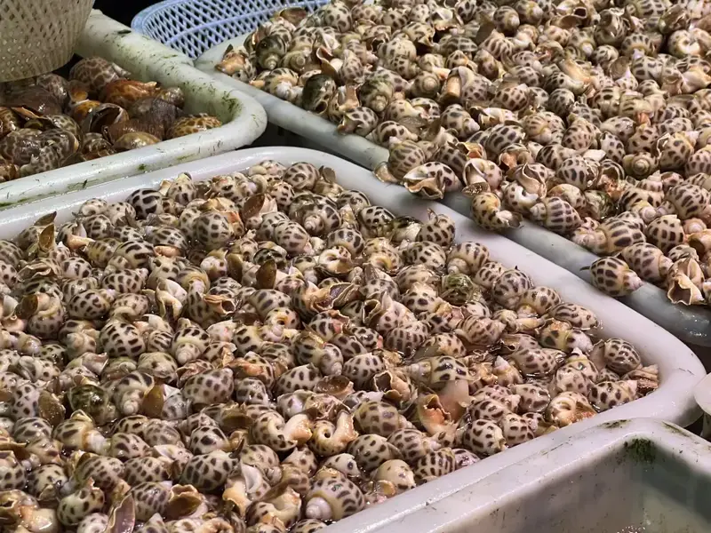 美食潮汕春笋的做法_潮汕美食春笋_潮汕笋的做法大全