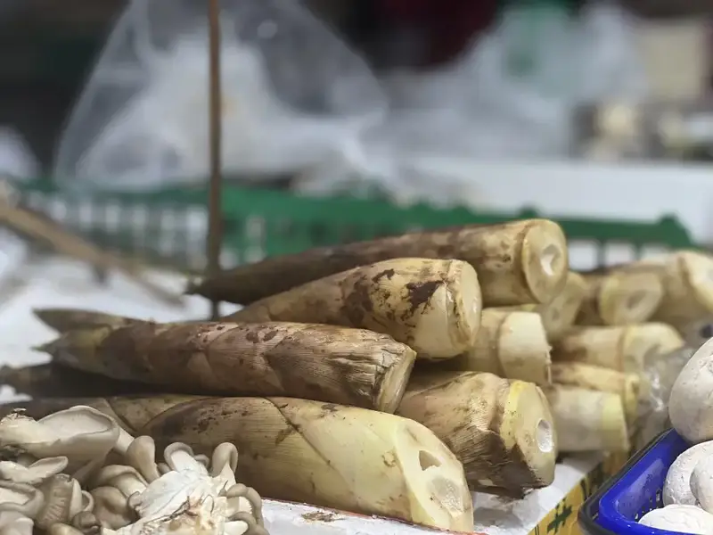潮汕美食春笋_美食潮汕春笋的做法_潮汕笋的做法大全