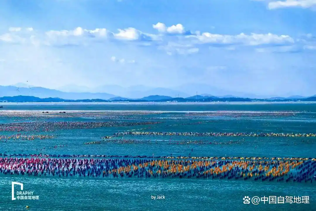 甘坑潮汕美食_甘坑是哪里_甘坑有什么好吃的