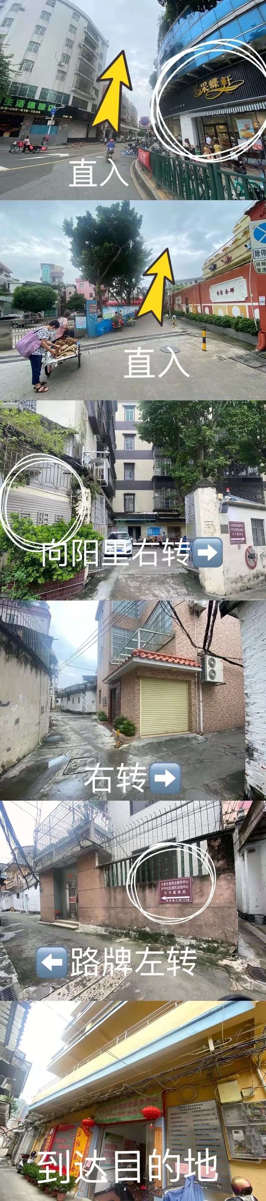 常识油画新手基本知识_油画新手基本常识_油画入门基础