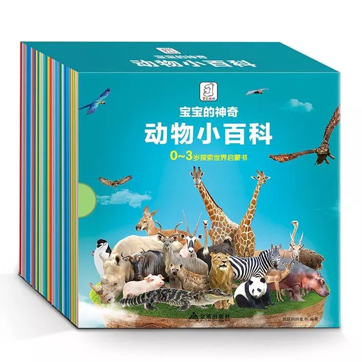 蚂蚁生活视频记录片_播放蚂蚁的生活百科_百科蚂蚁播放生活中的故事