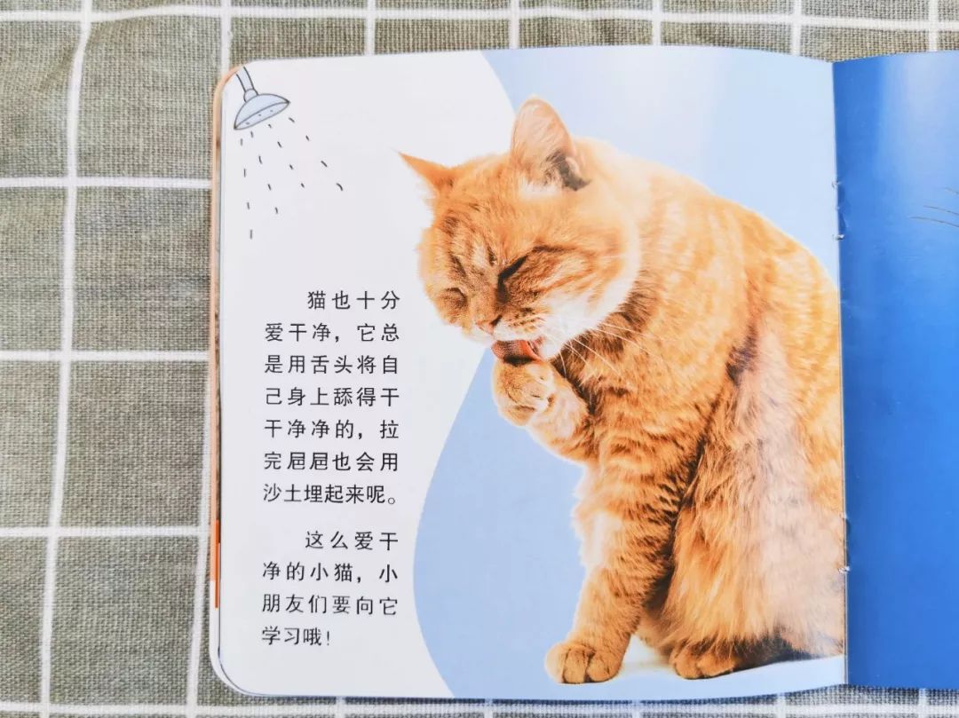 蚂蚁生活视频记录片_播放蚂蚁的生活百科_百科蚂蚁播放生活中的故事